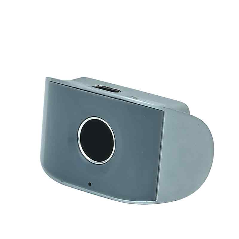 Handle-style fingerprint lock